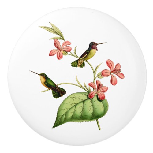 Costas Hummingbird Ceramic Knob