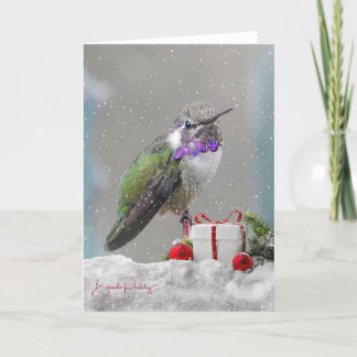 Costa's Hummingbird & Holiday Wishes!  Blank Card