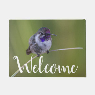 Costa's Hummingbird in August light Doormat