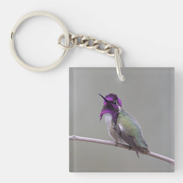 Costa's hummingbird keychain (Front)
