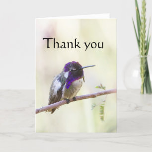 Costa's Hummingbird perched on a branch Thank You Card