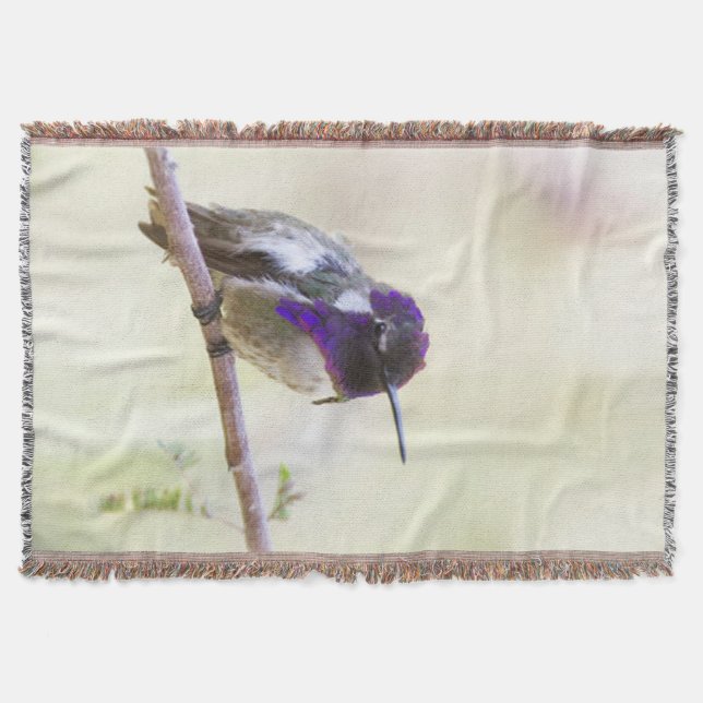 Costa's  Hummingbird perched on a branch Throw Blanket (Front)