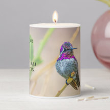 Costa's Hummingbird Psalm 145:4 KJV