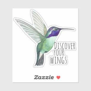 Costa's Hummingbird Sticker