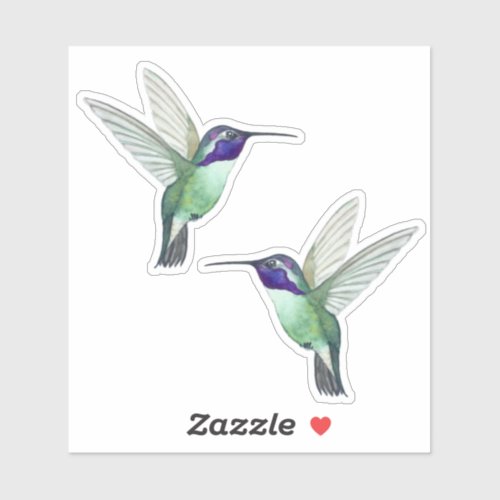 Costas Hummingbird Sticker