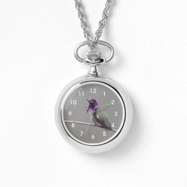 Costa's hummingbird watch (Front)