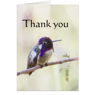 Costa's Perched on a branch, Thank you. Card Costa's Perched on a branch, Thank you. Card