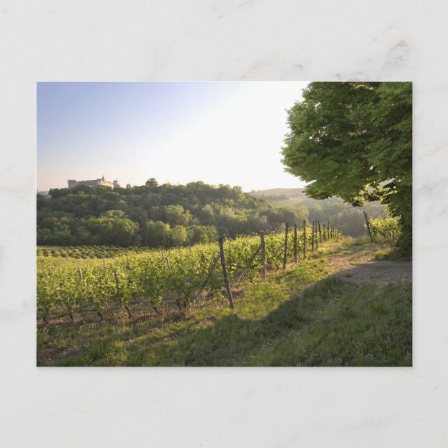 Costigliole d'Asti , Piedmont, Italy Postcard (Front)