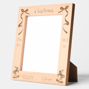 Costum Baby's Birth Picture Carousel Ponny Engraved Frames