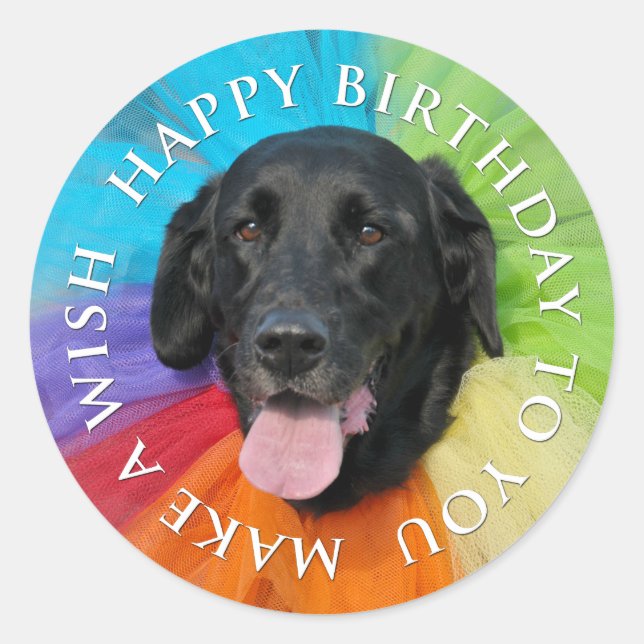 Costumed Black Lab Happy Birthday Classic Round Sticker (Front)
