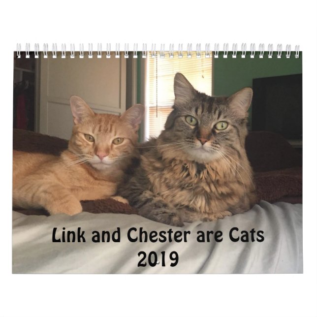 Costumed Cats 2019 Calendar (Cover)