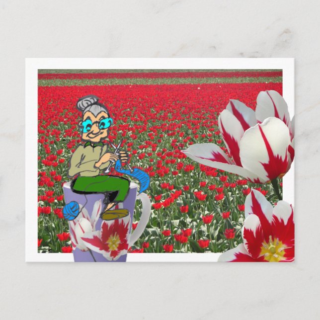 Cosy Knitting Woman on Tulips Mug Postcard (Front)