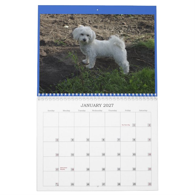 Coton Calendar (Jan 2027)