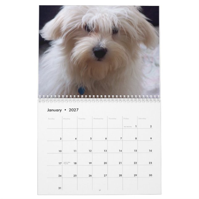 Coton Candy Calendar (Jan 2027)