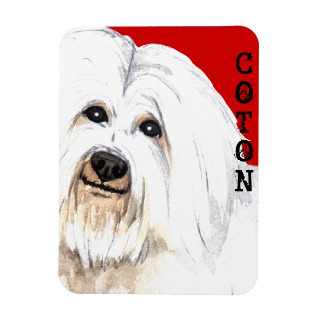 Coton Color Block Magnet (Vertical)