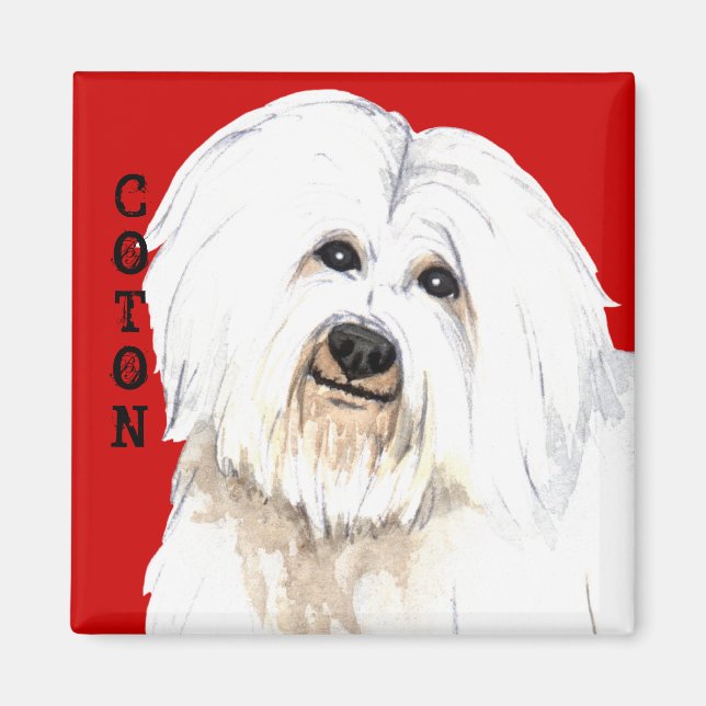 Coton Color Block Magnet (Front)