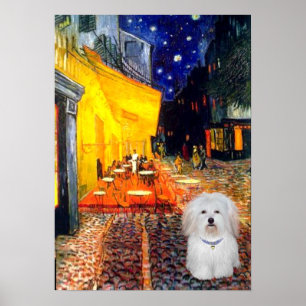 Coton de Tulear 4b - Cafe Poster