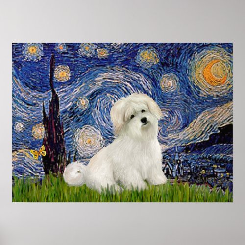 Coton de Tulear 7 _  Starry Night Poster