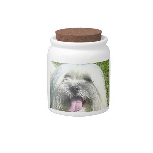 coton de tulear candy jar