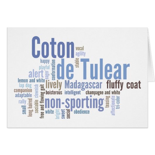 Coton de Tulear Cards (Front Horizontal)