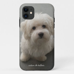 Coton de Tulear iPhone 11 Case