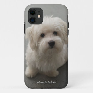 Coton de Tulear iPhone 11 Case