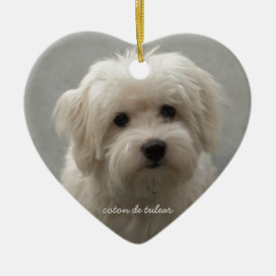 Coton de Tulear Ceramic Ornament