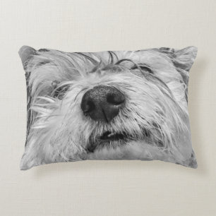 Coton de Tulear dog Accent Pillow