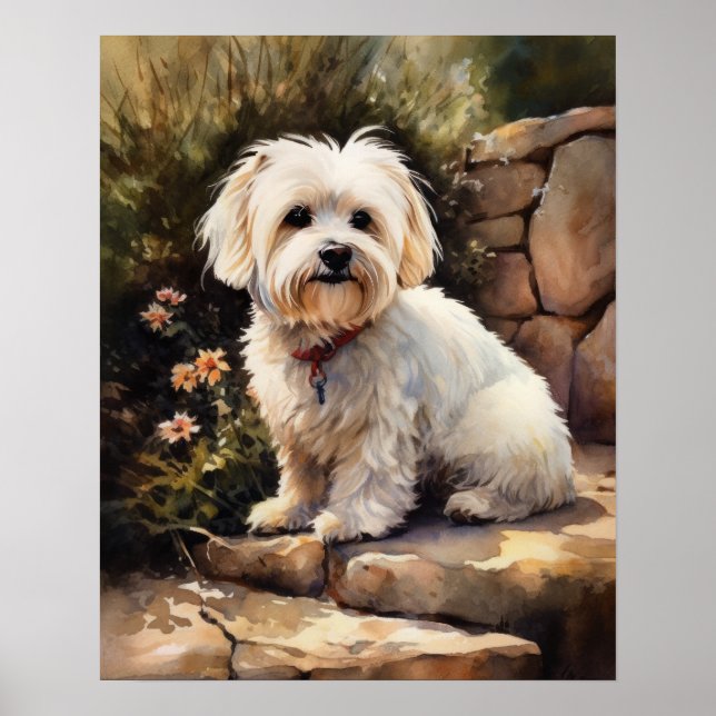 Coton De Tulear Dog Art Print Poster (Front)