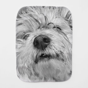 Coton de Tulear dog Baby Burp Cloth