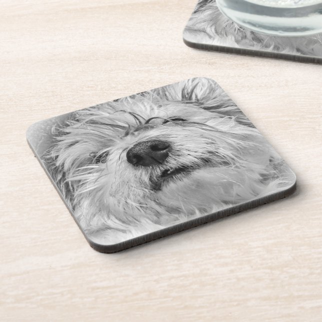 Coton de Tulear dog Beverage Coaster (Left Side)