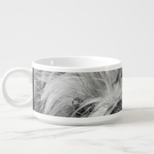 Coton de Tulear dog Bowl