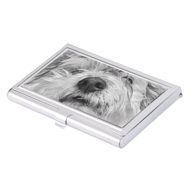 Coton de Tulear dog Business Card Case (Front)