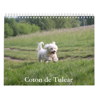 Coton de Tulear Dog Calendar