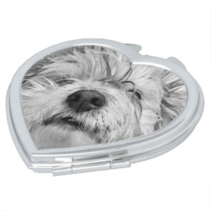 Coton de Tulear dog Compact Mirror