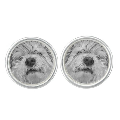 Coton de Tulear dog Cufflinks