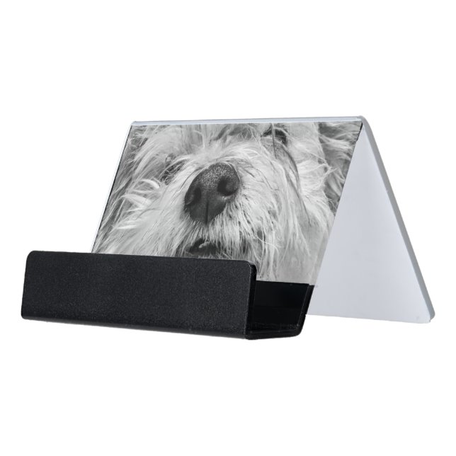 Coton de Tulear dog Desk Business Card Holder (Angled Front)
