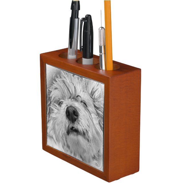 Coton de Tulear dog Desk Organizer (In Situ)