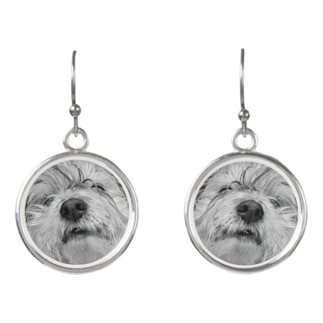 Coton de Tulear dog Earrings (Front)