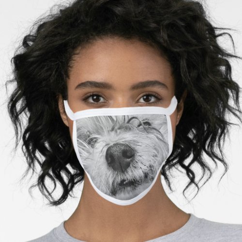 Coton de Tulear dog Face Mask