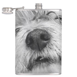 Coton de Tulear dog Flask