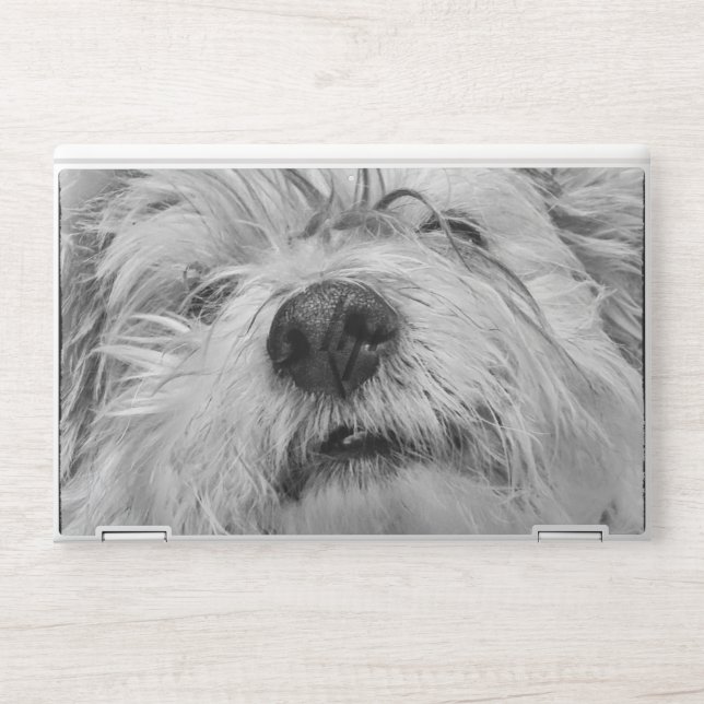 Coton de Tulear dog HP Laptop Skin (Front)