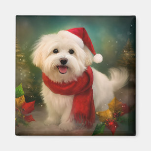 Coton De Tulear Dog in Snow Christmas Magnet