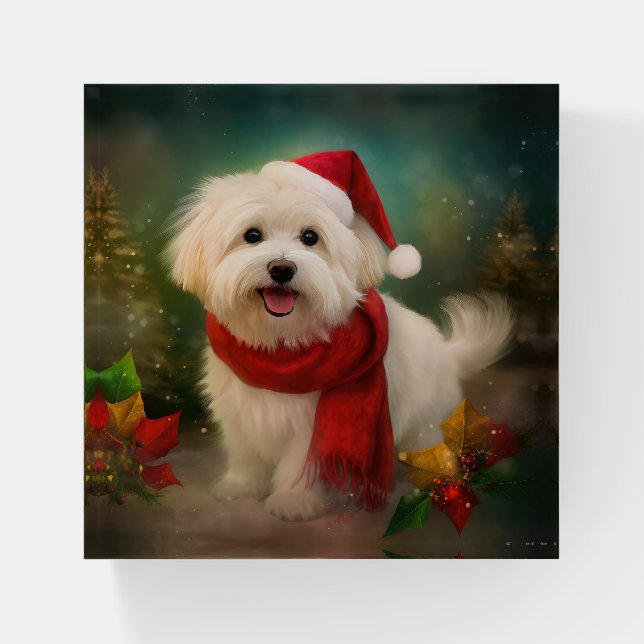 Coton De Tulear Dog in Snow Christmas Paperweight (Front)