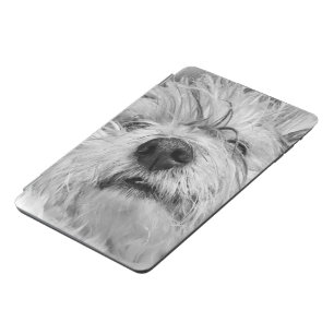 Coton de Tulear dog iPad Mini Cover