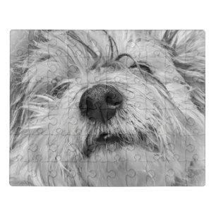 Coton de Tulear dog Jigsaw Puzzle