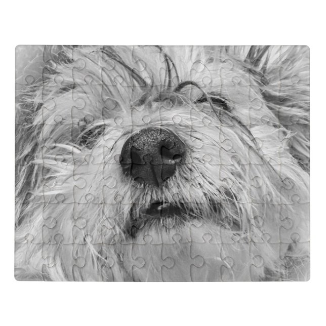 Coton de Tulear dog Jigsaw Puzzle (Puzzle Horizontal)