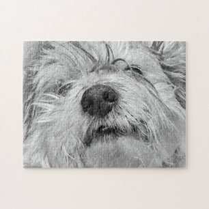 Coton de Tulear dog Jigsaw Puzzle