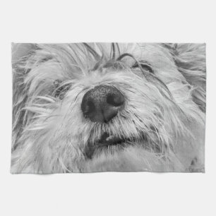 Coton de Tulear dog Kitchen Towel
