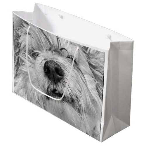 Coton de Tulear dog Large Gift Bag